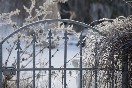 hek met sneeuw