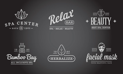 Set of Vector Spa Beauty Yoga Sport Elements Illustration can be used as Logo or Icon in premium quality