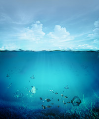 tropical waters