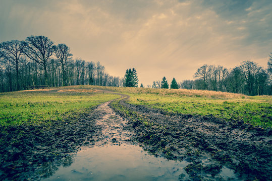Muddy road with a puddle