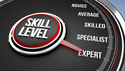 Skill Level / Expert