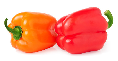 colored paprika isolated on white background