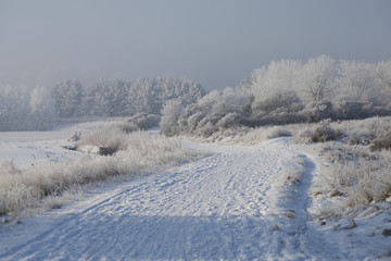 Fototapeta na wymiar duinrand in de sneeuw