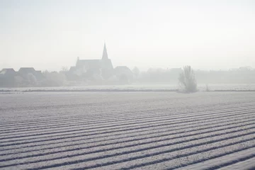 Foto auf Leinwand bollenveld in de sneeuw, Egmond aan den Hoef © katinkakrijgsman