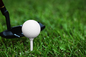 Golf balls and driver on green grass  background