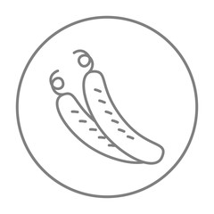 Cucumber line icon.