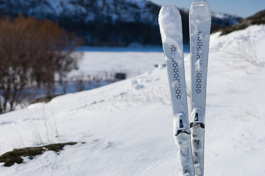 Downhill Skis Standing Upright on Snowy Mountain