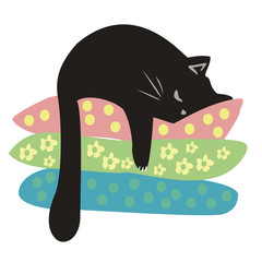 cat sleeps on pillows