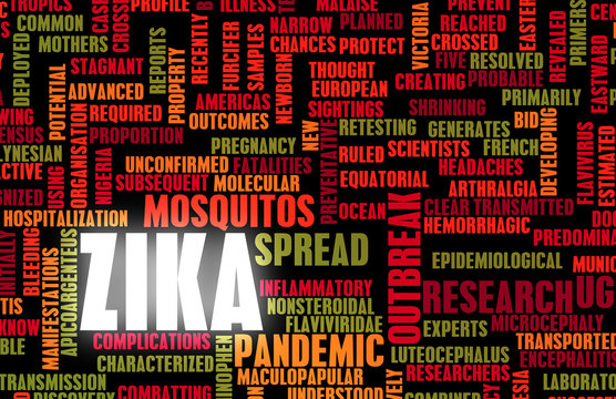 Zika Virus