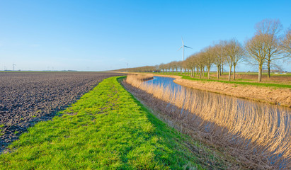 Fototapeta premium Canal through a sunny landscape in winter
