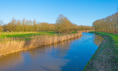 Fototapeta na wymiar Canal through a sunny landscape in winter