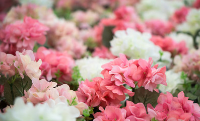 Pink and white plastic flowers.