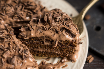 Chocolate cake on the dark rustic background. Shallow depth of field.