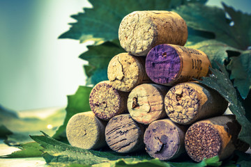 Dated wine bottle corks on the wooden background