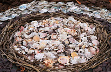 Seashells and snail shells decoration in a basket