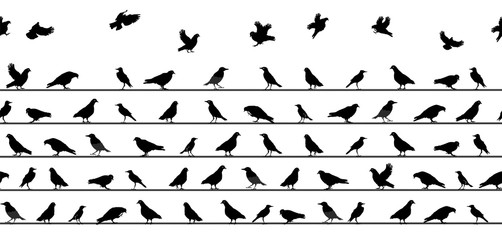 Birds Sitting on Power Lines. Seamless Pattern. Vector Illustrat