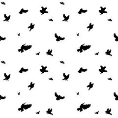 Fototapeta na wymiar Birds Flying in Air. Seamless Pattern. Vector Illustration.
