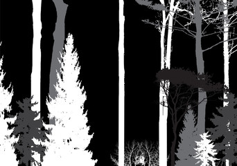 Image of Nature. Tree Silhouette. Eco banner. Vector Illustratio