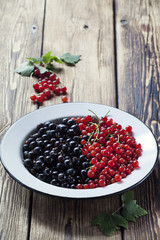 Black and red currant