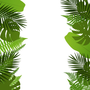 Tropical leaves background with palm,fern,monstera and banana leaves. Vector illustration