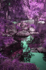 Panele Szklane  Piękna rzeka płynąca przez alternatywne surrealistyczne kolorowe lasy
