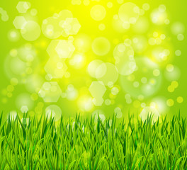 Fototapeta na wymiar nature background with green grass