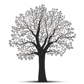 Tree silhouette with leaves