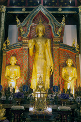 Golden standing Buddha in Viharn of  Wat Suan Dok temple.