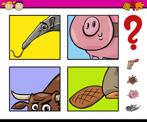 educational task with animals