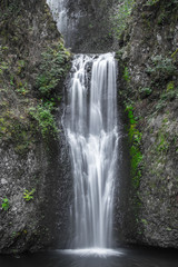 Fototapeta na wymiar Multnomah Falls