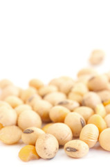 soybean isolated