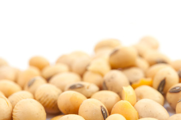 soybean isolated