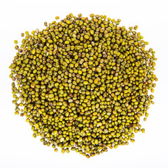 Vigna radiata on a white background