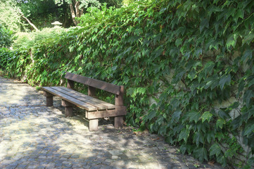 Lonely wooden bench in the park