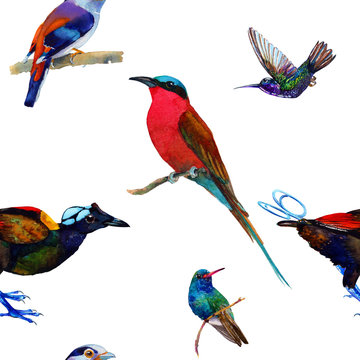 Seamless pattern with exotic birds. Hand painted watercolor. Isolated on white background. Fabric texture.