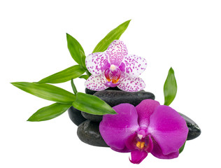 Naklejka na ściany i meble Wellness: Orchids, stones and bamboo :)