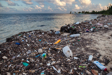 Plastic Garbage Washed onto Beach - obrazy, fototapety, plakaty