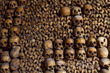 Skulls 