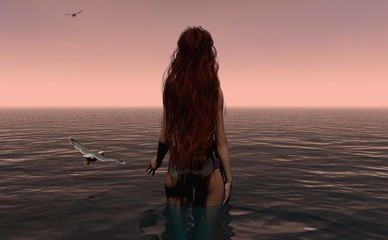 Long Haired Female Overlooking Sunset Horizon With Seagulls