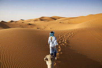 Fototapeta na wymiar Camel caravan on the Sahara desert