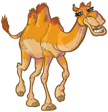 Cartoon Camel Images – Browse 17,900 Stock Photos, Vectors, and Video |  Adobe Stock