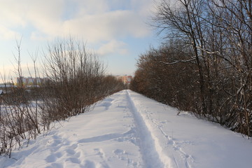 Fototapeta na wymiar Тропинка в снегу, идущая между поселком и лесом в зимний солнечный день