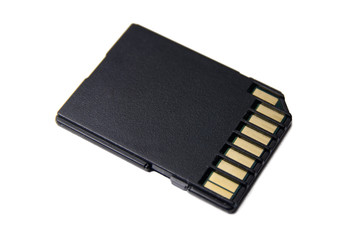 SD memory card isolated white background