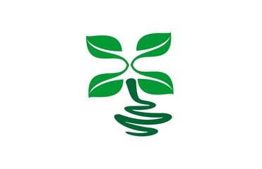 Fototapeta na wymiar green plant logo