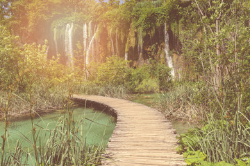 Retro Hiking Path with Sunlight with Instagram Style Vintage Fil