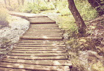 Hiking Path on a Wooden Trail with Retro Vintage Style