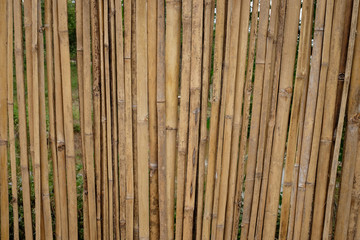 dry bamboo in row with space