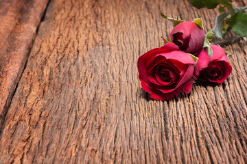 Red roses on rustic wood background