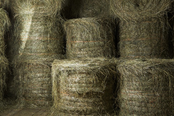 bales of hay in the barn loft 
