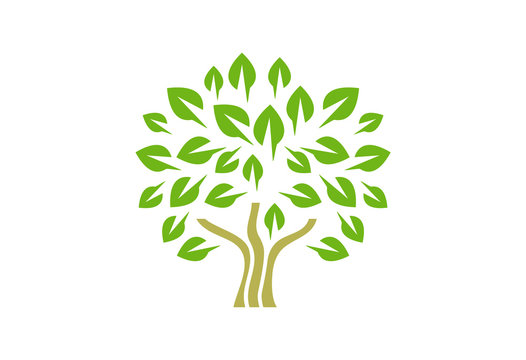 Tree Logo Vector Design
